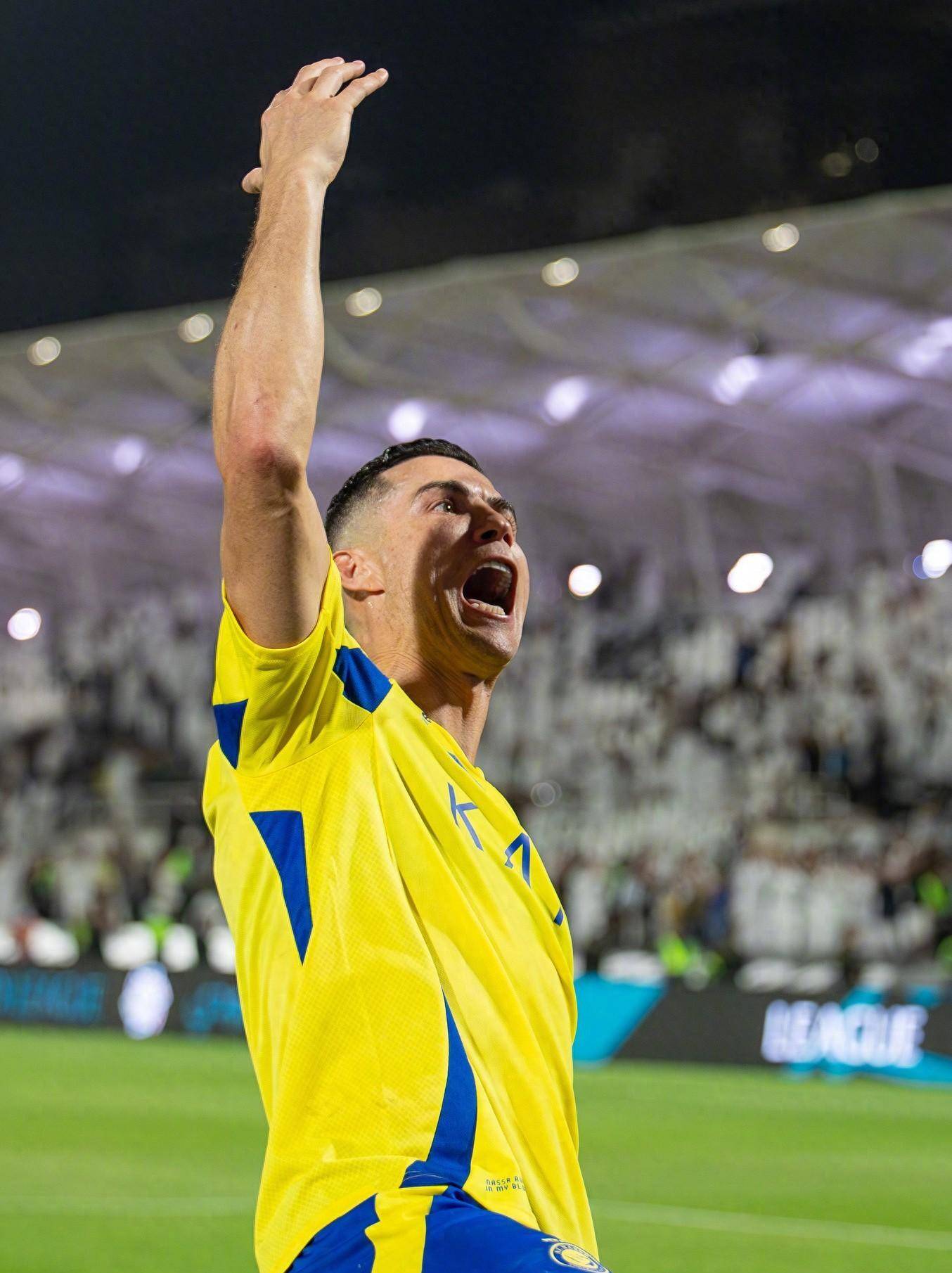 对性的战术 对性的战术